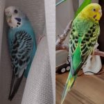 まめくり さんのプロフィール写真