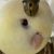 コロン さんのプロフィール写真