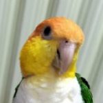 ウリママ さんのプロフィール写真