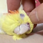 あいこ(大阪) さんのプロフィール写真