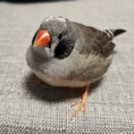 はにわ さんのプロフィール写真