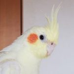じゅじゅ さんのプロフィール写真
