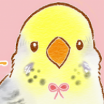 千葉のいんこずき さんのプロフィール写真