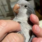 sakamoto14 さんのプロフィール写真